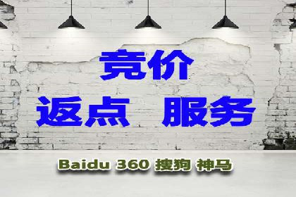 电商平台信息流广告的投放策略与效果评估案例